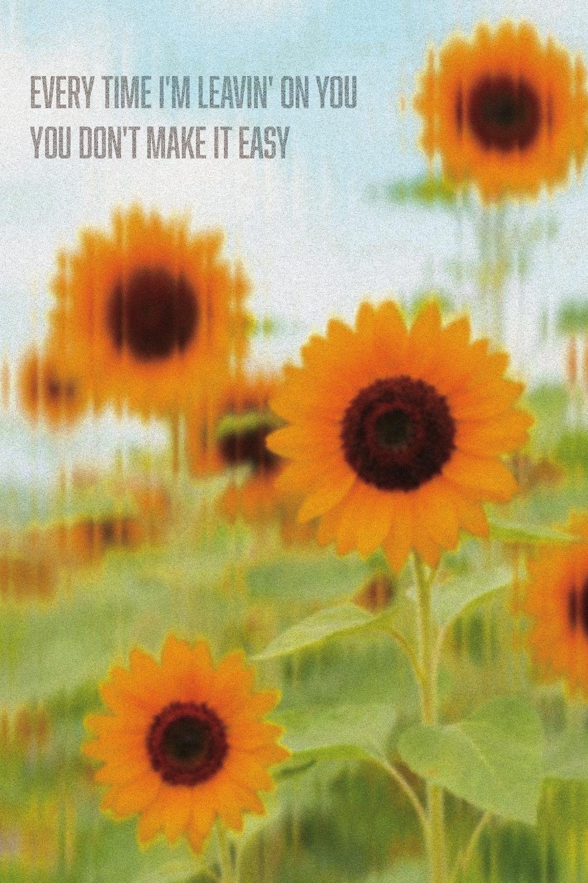 Post Malone & Swae Lee — Sunflower